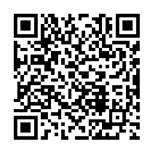 我们二队其他的人都被干掉了――我不能完全确定二维码生成