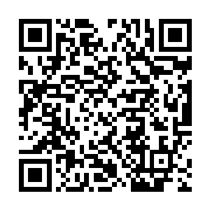 我们人修是不允许另外一个传承和我们争夺这块大陆的二维码生成