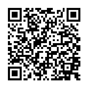 我们人类一定可以过上比以往还要幸福安定的生活二维码生成