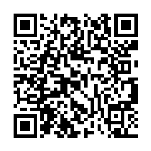 我们人类已经进化到了碳基智慧生命最完美的形态二维码生成