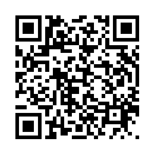 我们人类是亿万奇迹凝聚而成的种族二维码生成