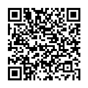 我们今晚离开田纳西――明早我会到医院去看望珍妮弗二维码生成