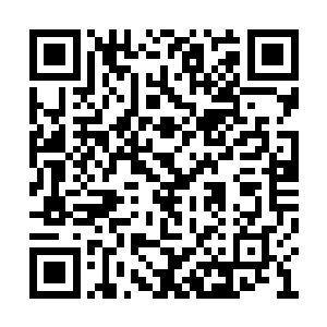我们仍有相聚之日……我明知相士之言虚无缥缈二维码生成