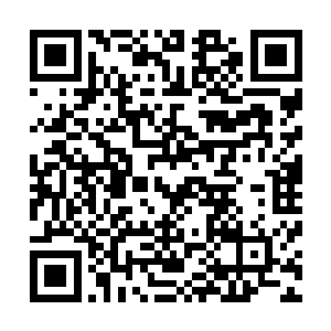 我们从半年前就开始收编通天塔三层中赫赫有名的天魔七星二维码生成
