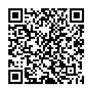 我们仙宫中的专家学者们早在漫长数千年的探索和研究中二维码生成