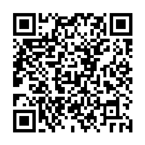 我们会乘坐飞机直接到达距离派拉诺的营地不远的地方二维码生成