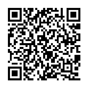 我们何不趁此机会将那些宗门一个个的连根拔起二维码生成