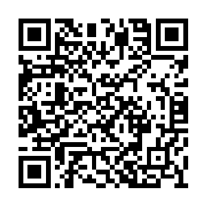 我们何必要去和碳基人类争抢那半个腐臭的馒头二维码生成