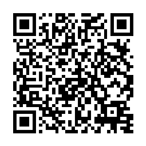 我们俩从小学3年纪就开始琢磨如何把你变成自己媳妇了二维码生成