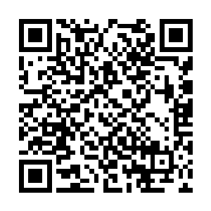 我们俩就在回宿舍的路上商量到底下一步该怎么做二维码生成