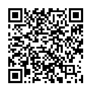 我们修炼命运法则的成为神灵之后都能和一个人成为命运体二维码生成