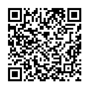 我们先前其实就已经搞了一批比较大范围的对话会了二维码生成