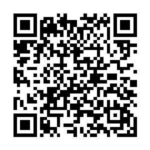 我们先向大家简单地介绍一下到目前为止积分榜的情况二维码生成