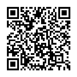 我们先要达成一致的是把诸葛道友救出来是不是二维码生成