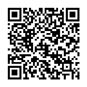 我们入住了位于圣约翰河畔不远处的一个汽车旅馆二维码生成