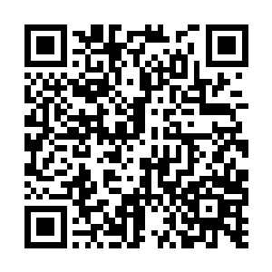 我们公司苦心经营了这么多年的形象就因为你毁了二维码生成