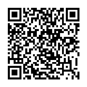 我们公司里面有哪些高管有权力对旗下饭店直接下命令的二维码生成