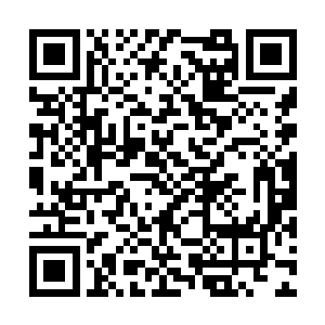 我们决定以后龙家的后人都可来我圣龙池进行洗礼二维码生成