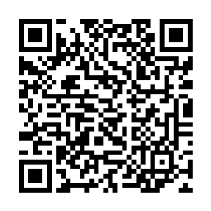 我们几个师姐妹恐怕要在火耀宗孔文栋手下死伤惨重二维码生成