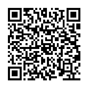 我们几家投身君主阁的人之所以没有人发现秦家也有人入驻二维码生成