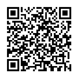 我们刚刚离开四方城一天听说四方城的血人之灾就爆发了二维码生成