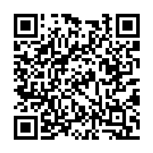 我们刚才正在谈在西域和北疆建大型牧马场的事呢二维码生成