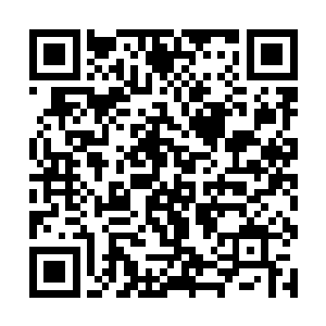 我们半山岛擅长是山地果树植被养护和平原灵脉衔接二维码生成