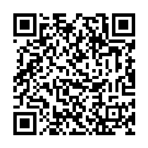 我们半山岛本岛和新大陆分部辖区都不少原始森林二维码生成