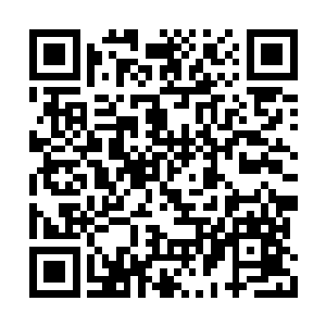 我们华夏先人就创造了王侯将相宁有种乎的成语二维码生成