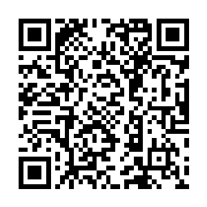 我们华民慈善基金的几个主战趁像都有你的领导和同僚呢二维码生成
