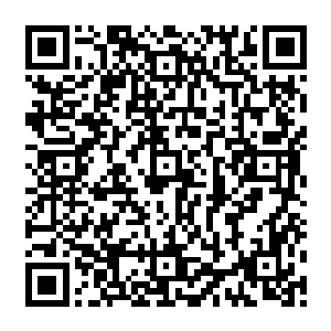 我们县委县政府也一直在考虑怎么来让占我县人口百分之九十五以上的农民腰包能鼓起来二维码生成