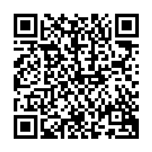 我们叛能者也不可能真的一年内为朴素和平提供真正的援助力量二维码生成