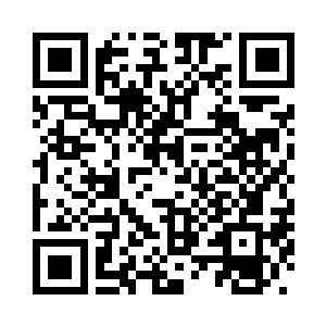 我们只会在那个岛上停留一段时间二维码生成