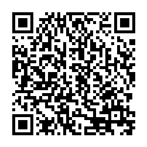 我们只是请掌门依照离山铁律把涉嫌勾结魔族的弟子七间交由戒律堂审问二维码生成