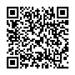 我们只看到郭襄开开心心的过轰动襄阳的牛掰生日二维码生成