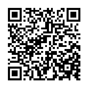 我们只要帮助这个剧本中的玩家们尽快通关就行了二维码生成