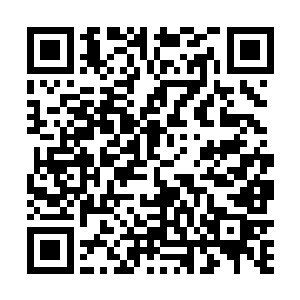 我们可不想她有任何的危险――我代叶家向你说声谢谢二维码生成