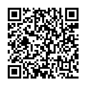 我们可不能眼睁睁的看着一位潜力无限的天才半路夭折的啊二维码生成