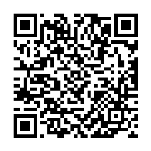 我们可以保证二期项目绝对不会再出现任何的问题了二维码生成