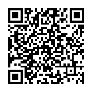 我们可以利用骨鸟为他们运送各地被欺压的无角人二维码生成