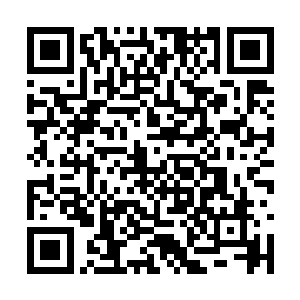 我们可以安排一位副殿主来帮你处理监察殿的事情二维码生成