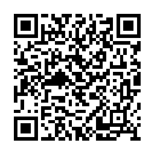 我们可以把目标锁定在林可染就读的艺术学院了二维码生成