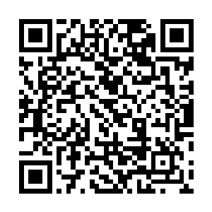 我们可以拿倪力的那个证据去省城司法鉴定所做一个鉴定二维码生成