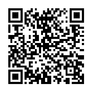 我们可能会比预期的更早把叶莲娜和凯瑟琳送到蓬塔阿雷纳斯二维码生成