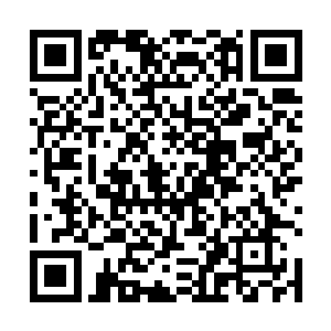 我们可能要在很久一段时间内无法再抓到大伊万的尾巴二维码生成