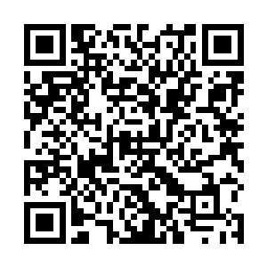 我们咋不知道还有这么孜孜不倦为我们服务的贴身保镖二维码生成