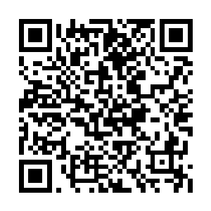 我们四人联手都被一名实力非常强大的人给打败二维码生成