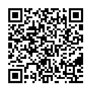 我们四大家族的弟子哪个不是如此当然现在只剩下了三大家族二维码生成