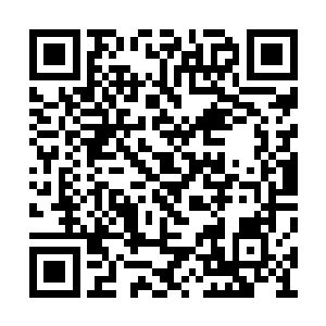 我们四皇已经各自出兵围剿环形圈内的天玄老巢二维码生成