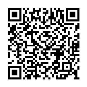 我们在你身边怕会令凶手多了小心不敢轻易出现二维码生成